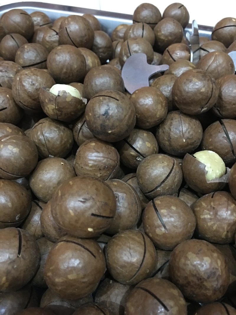 批发奶油味夏威夷果中大果一箱10斤无坏果质量保证一件代发