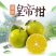 广西皇帝柑大量供应，欢迎客商考察参观对接电商