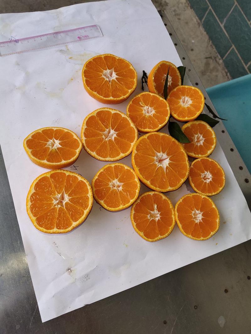 蜜橘，宜昌蜜桔产地直销，诚信代办，以质订价，保质保量。