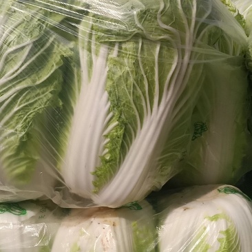 精品大白菜上市，，，，，，