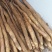 河北邢台柏乡县小白嘴白山药2~3厘米一级口感甜好吃