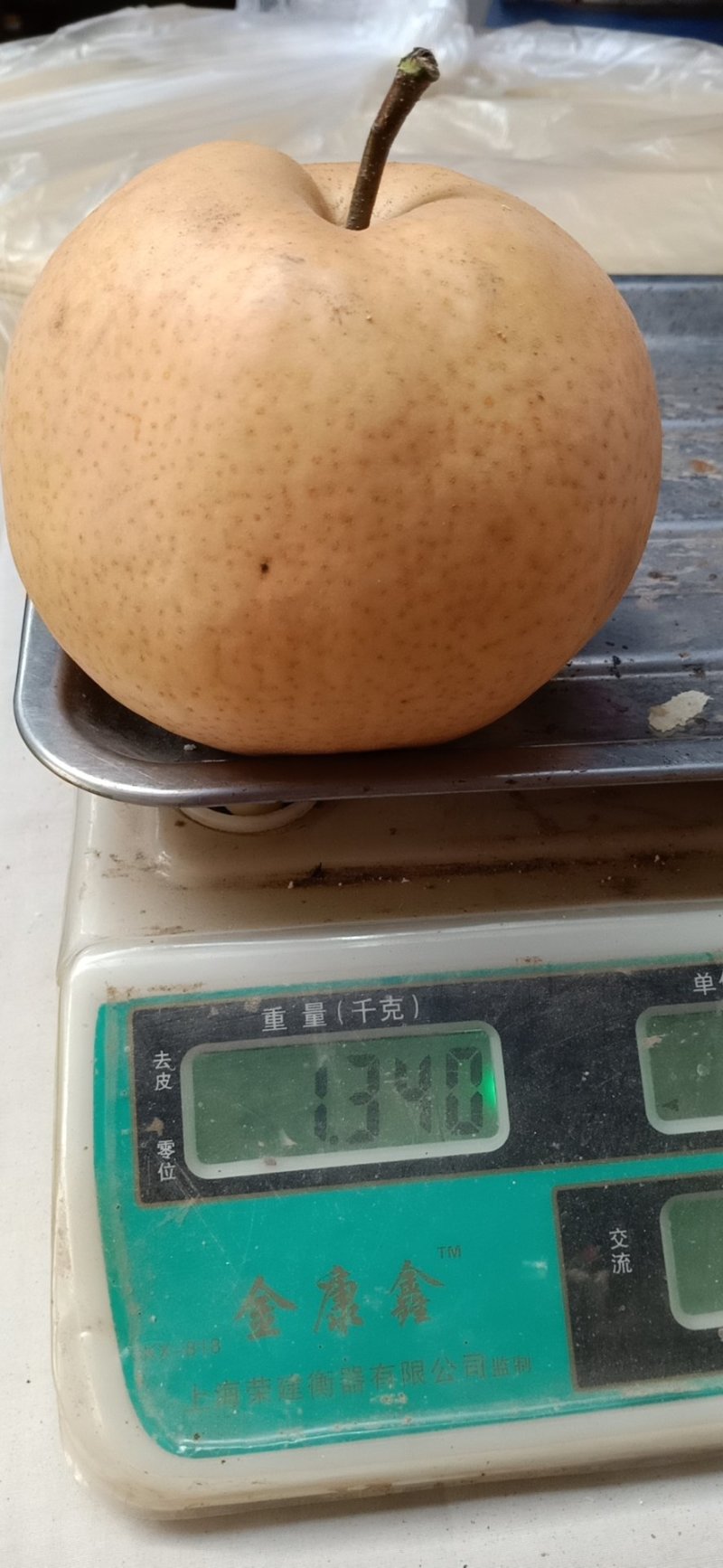 梨丰水梨产地大量供应中货源充足口感脆甜一级棒