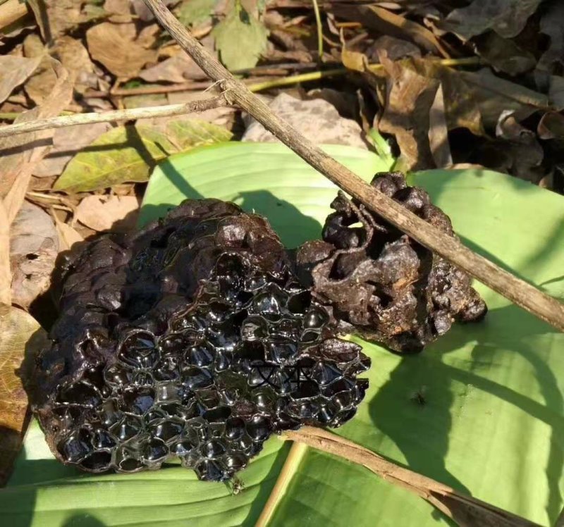 野生酸蜂蜜，天然土酸蜜，正真的纯酸蜜，没任何勾兑