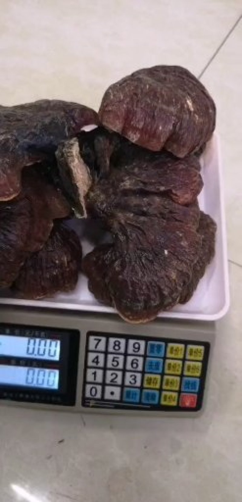 包邮(产地直供)长白山当地林下野生灵芝