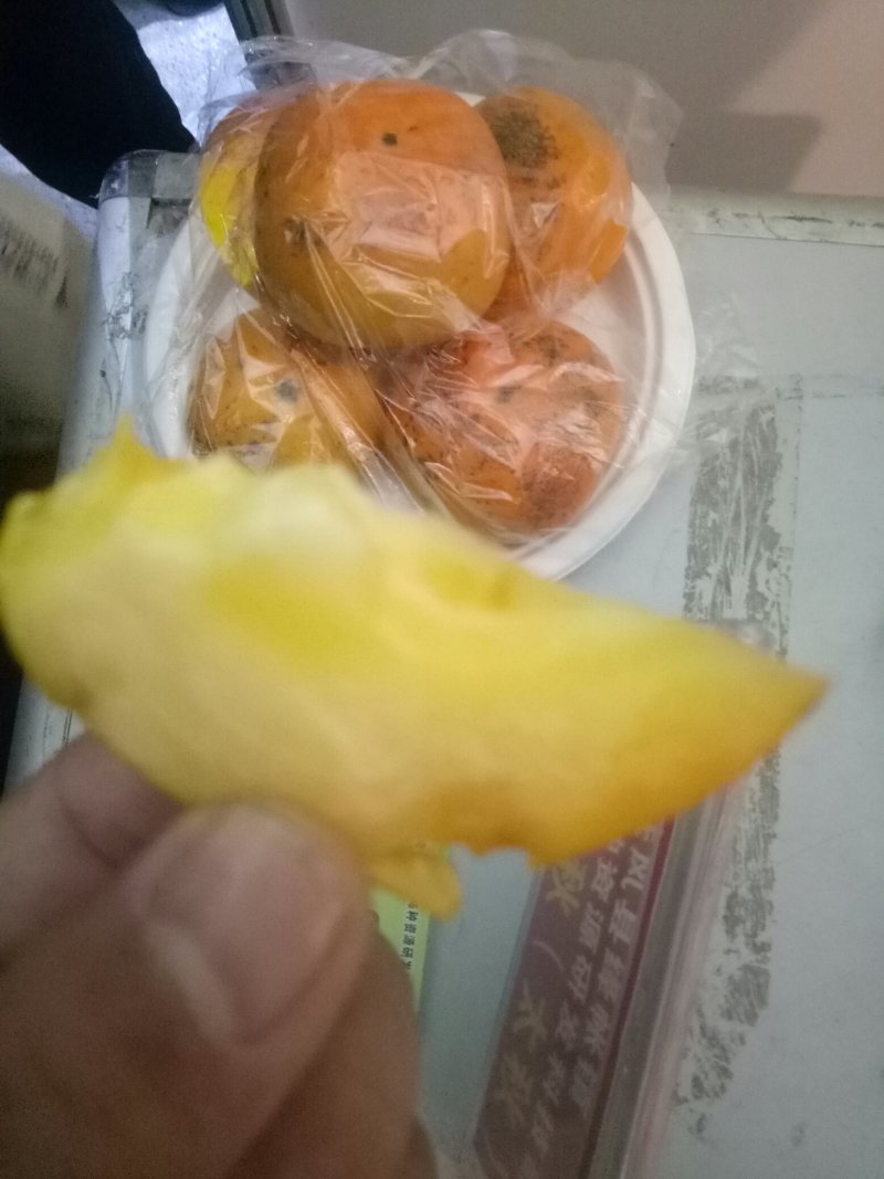 柿子苗，质优价廉，规格全面，自家苗木，放心选购