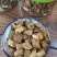 长白山无糖菊苣根茶包邮味道香大颗粒