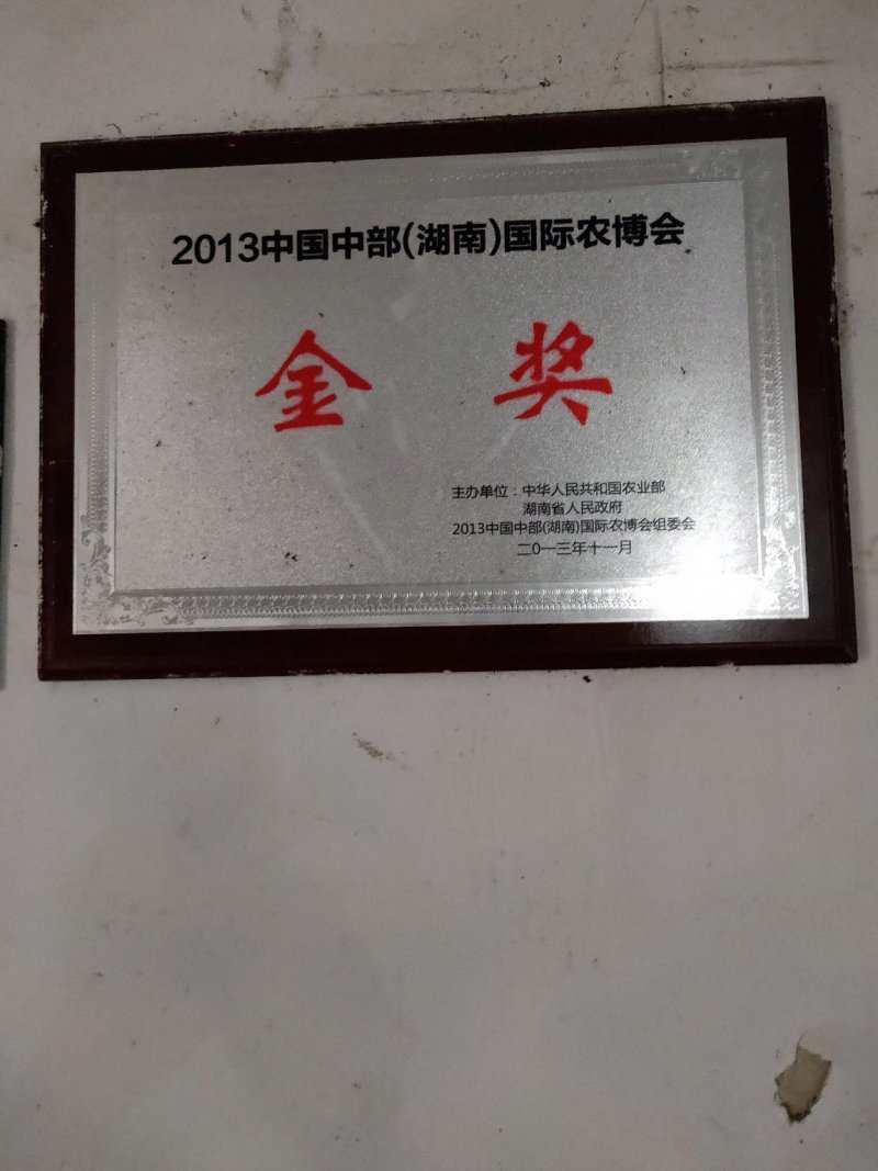 嫁接枝条安江冰糖柚百元每斤量大优惠质量保证