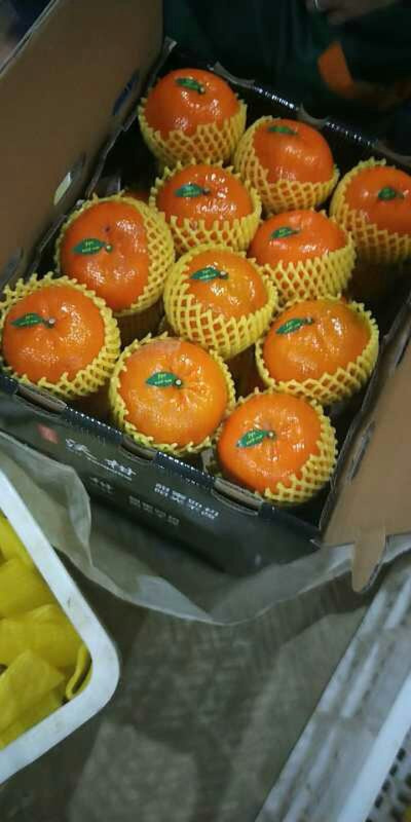 广西南宁市大量供应精品沃柑，果大，肉甜，质量好