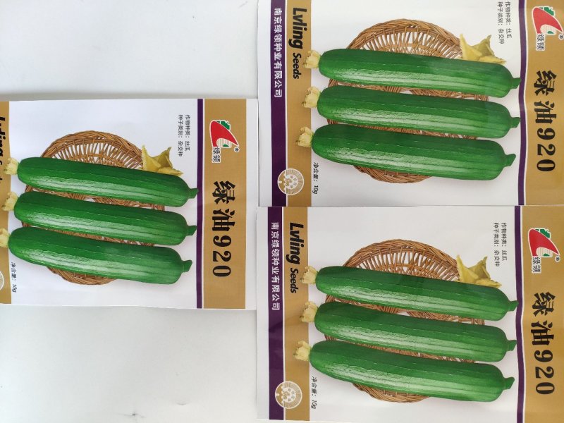 绿油2号短油皮丝瓜种籽白籽丝瓜种10克
