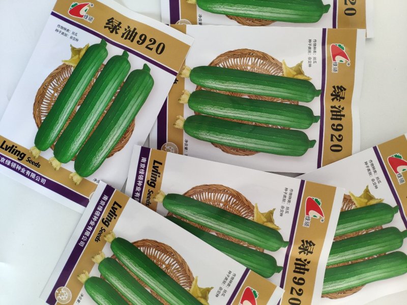 绿油2号短油皮丝瓜种籽白籽丝瓜种10克