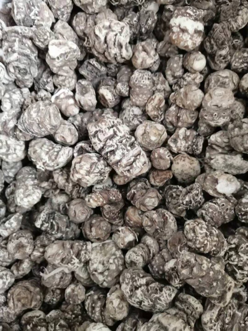 重楼，东北，你懂的
