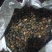 油茶籽上市了，保证质量，各位老板来看货，合作共赢。