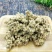 枇杷花土冬花枇杷花无硫净货保正品批发零售冷背中药材