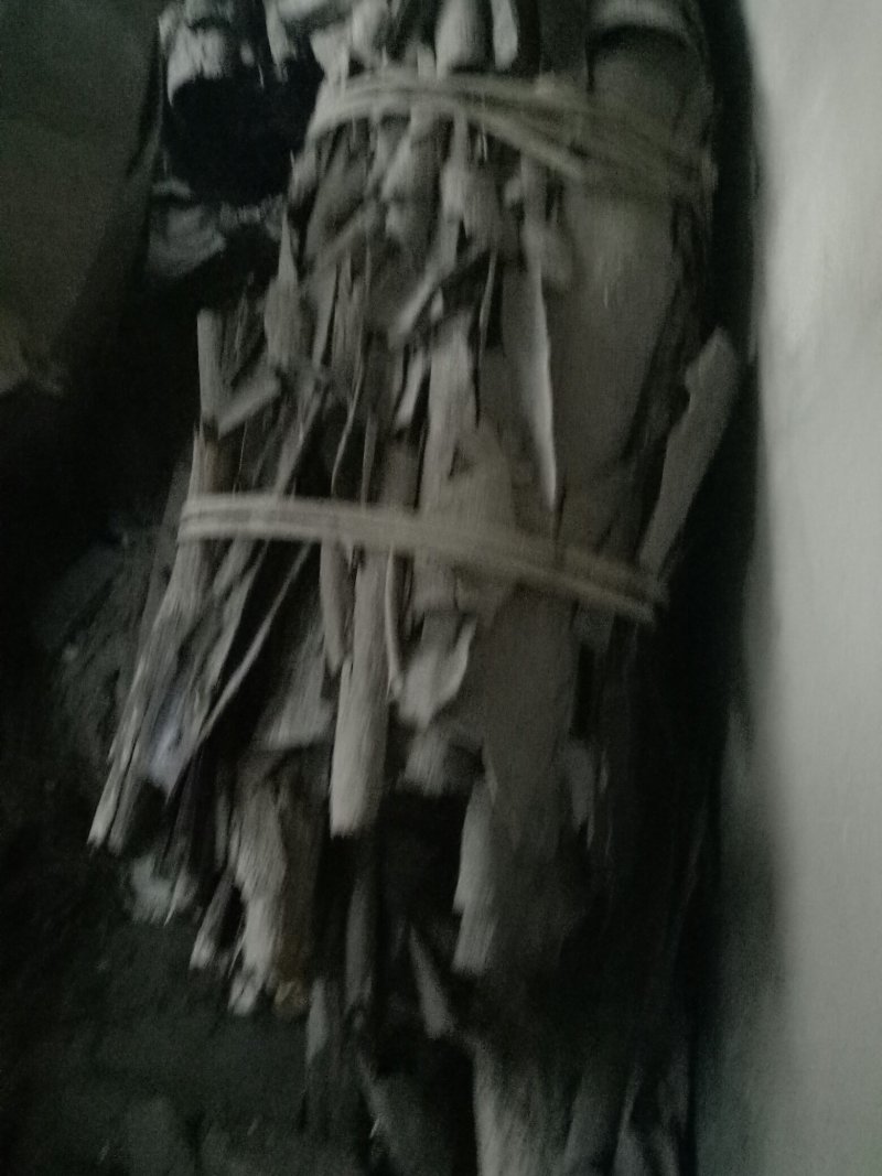 杜仲皮干货，欢迎各位老板提前预定，规格𣎴等，价随行就市