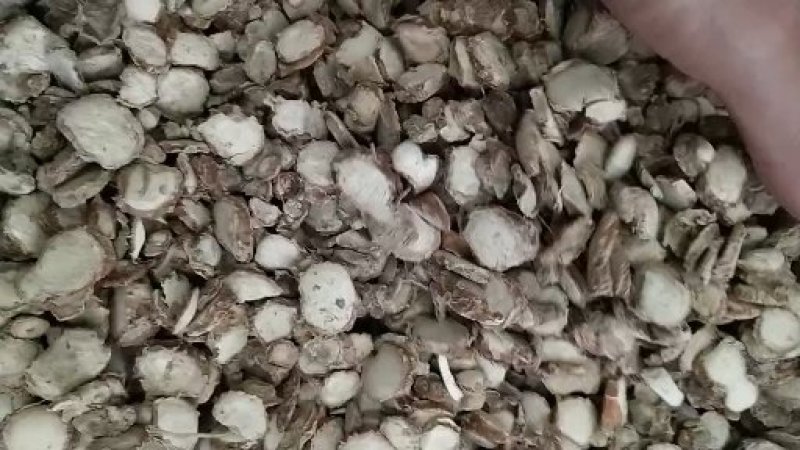 沙姜进口沙姜小圆片山奈足干片好价格优惠批发价