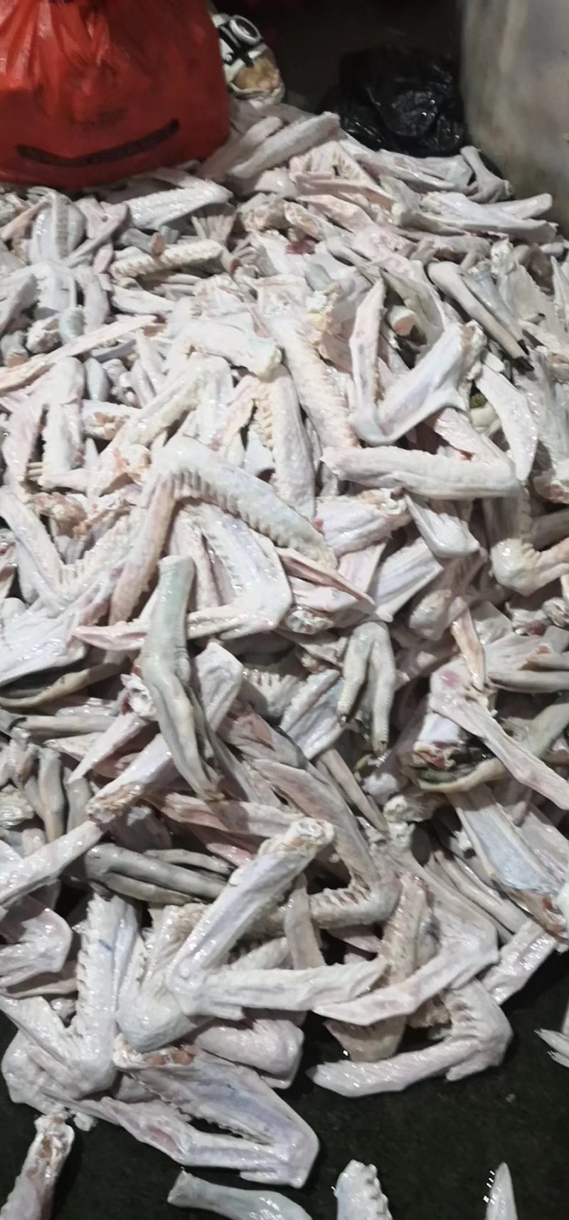 新鲜鹅掌亦大量有货全国供应
