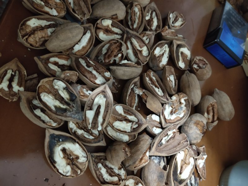 碧根果半片大圆。公司质量，新货正品里面挑出来的残次品