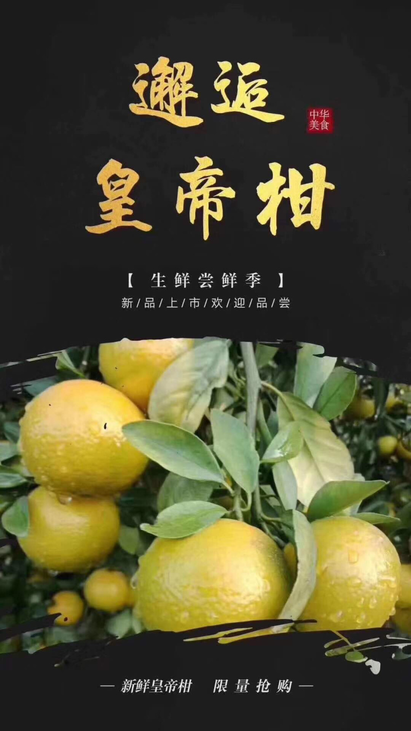 上市了