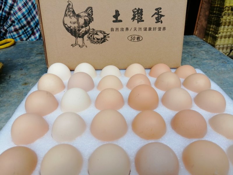 山里散养土鸡蛋