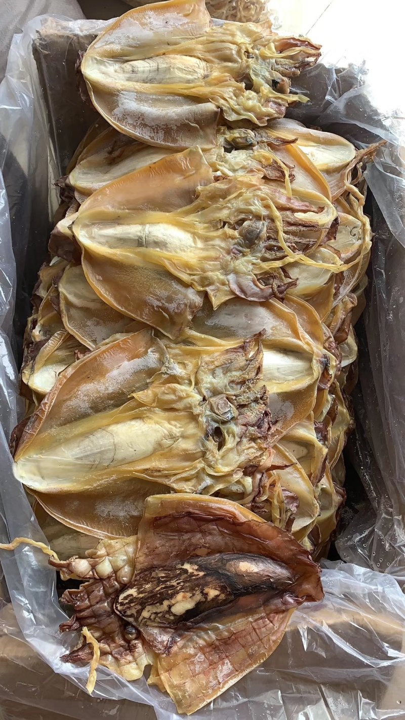 新鲜墨鱼干滋味鲜美煲汤烹饪