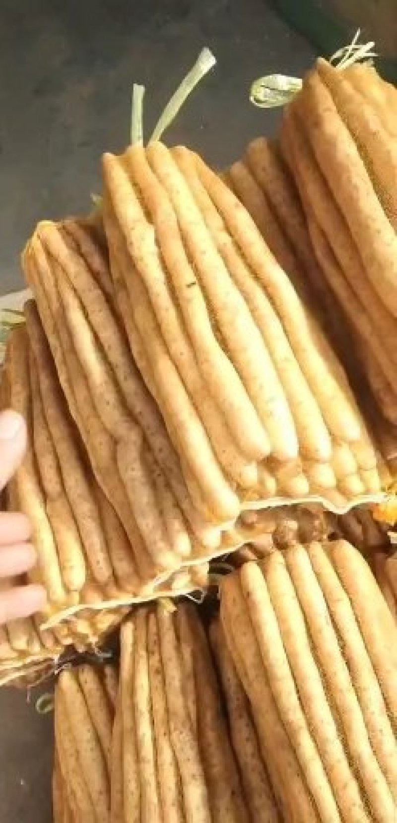 大量供应水洗正宗小白嘴网兜货。（注意不是假货）保质保量