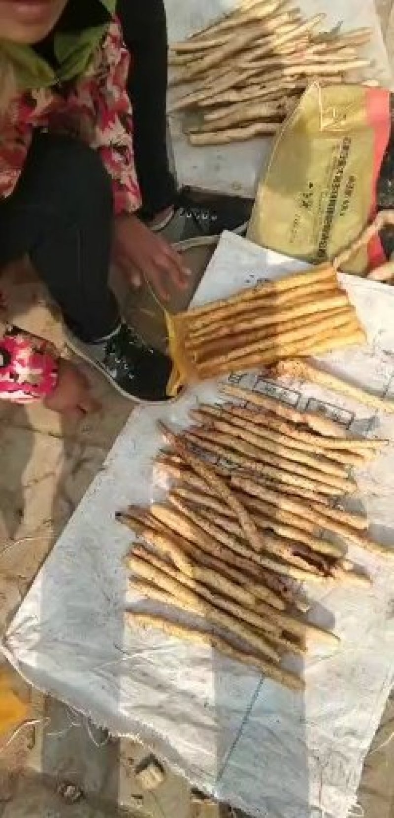 大量供应水洗正宗小白嘴网兜货。（注意不是假货）保质保量