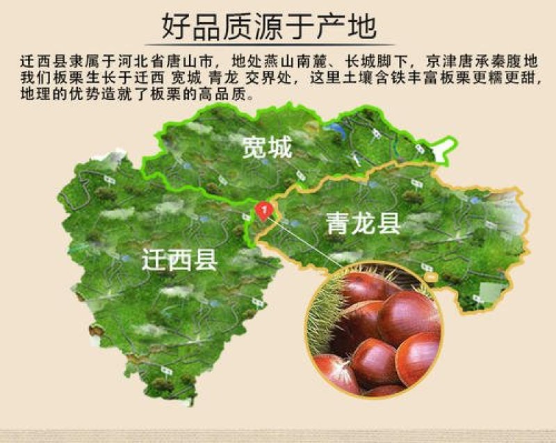 【基地直销】3113板栗苗适合全国各地种植，包技术