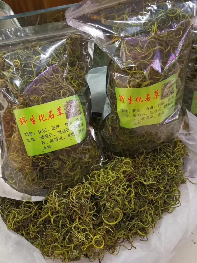 化石草云南化石草肾精茶产地批发