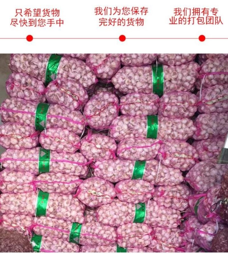 编织袋网袋网兜网眼袋红薯蒜柚子土豆白菜包装袋