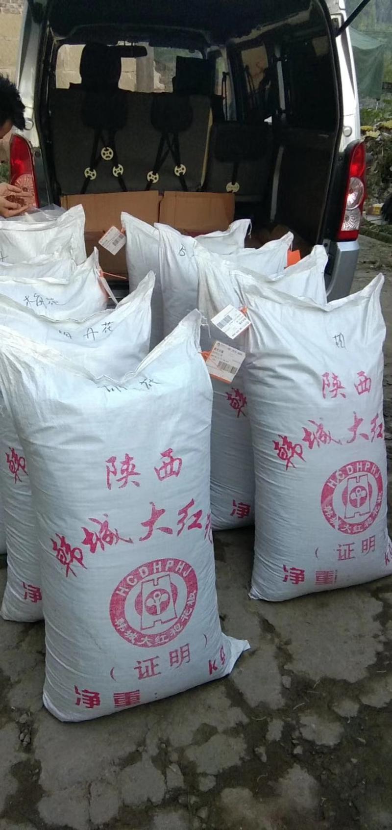 【HOT】优质供货，2023陕西大青稞青货花椒，量大价优