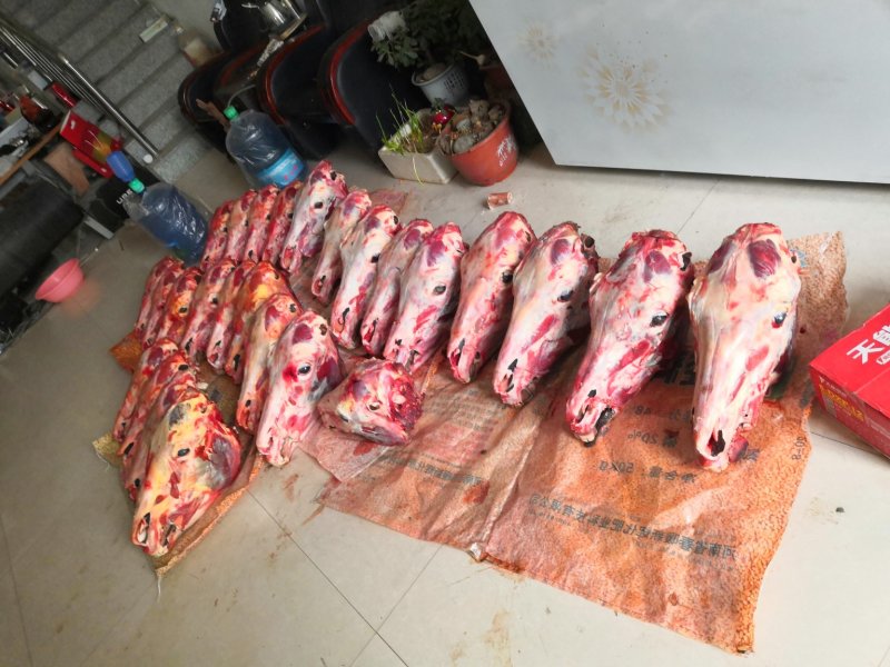 长期供应驴头剥皮带皮都有，新鲜驴头，个头均匀
