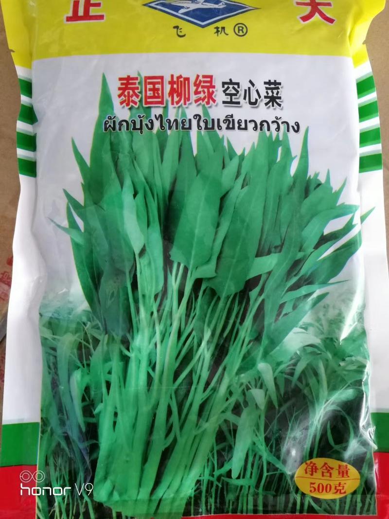 泰国柳绿空心菜种子500g
