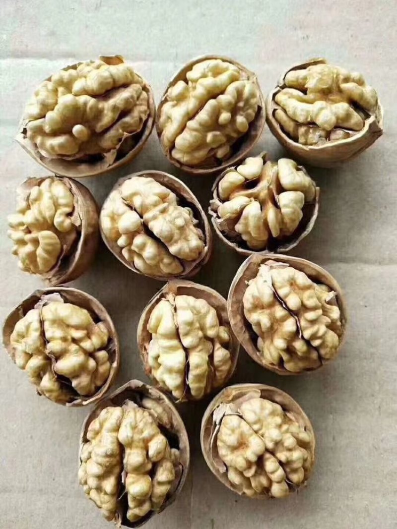 新疆阿克苏185纸皮核桃5斤包邮孕妇宝宝安全健康食品
