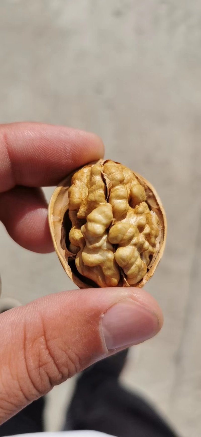 新疆阿克苏185纸皮核桃5斤包邮孕妇宝宝安全健康食品