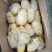 滕州精品土豆，荷兰，V7，沃土，黄皮黄肉，每斤加一毛包邮