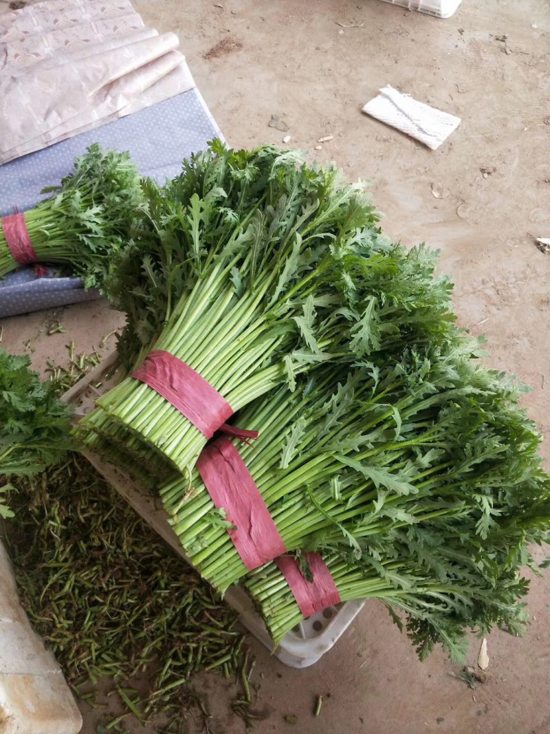 🔥🔥精品茼蒿产地直发【专业代办】货源充足运输便利