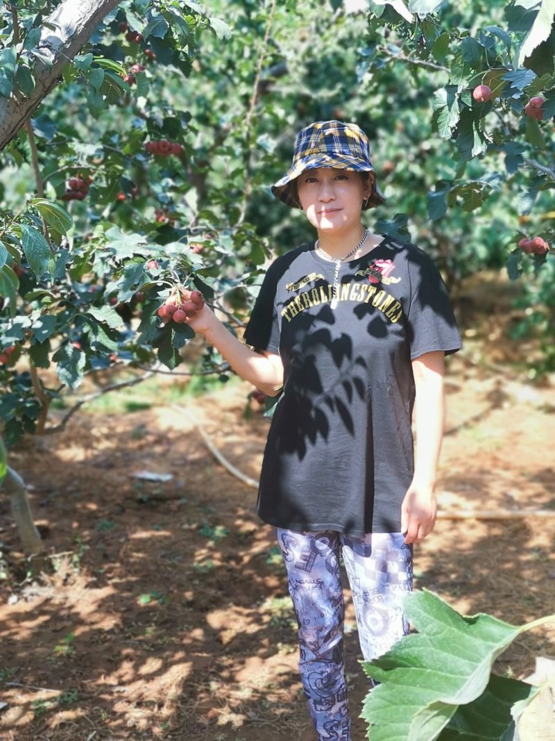 山楂苗歪把子山楂苗朝鲜红山楂树苗当年结果南北方种植盆栽果