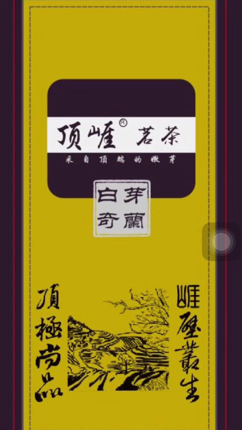 白芽奇兰（正宗原产地福建省漳州市平和县特产）