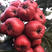 大磨盘山楂树苗、特别高产，果个非常大、优质品种