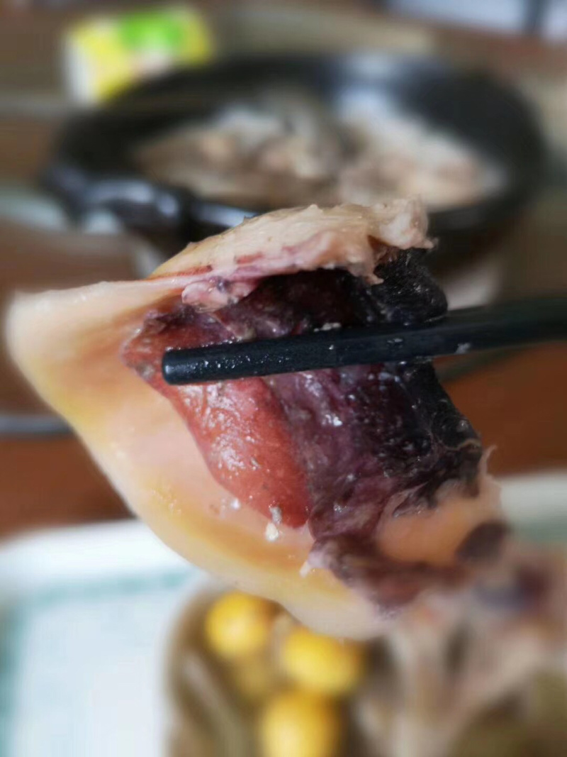 天然澳内海无添加足干墨鱼干