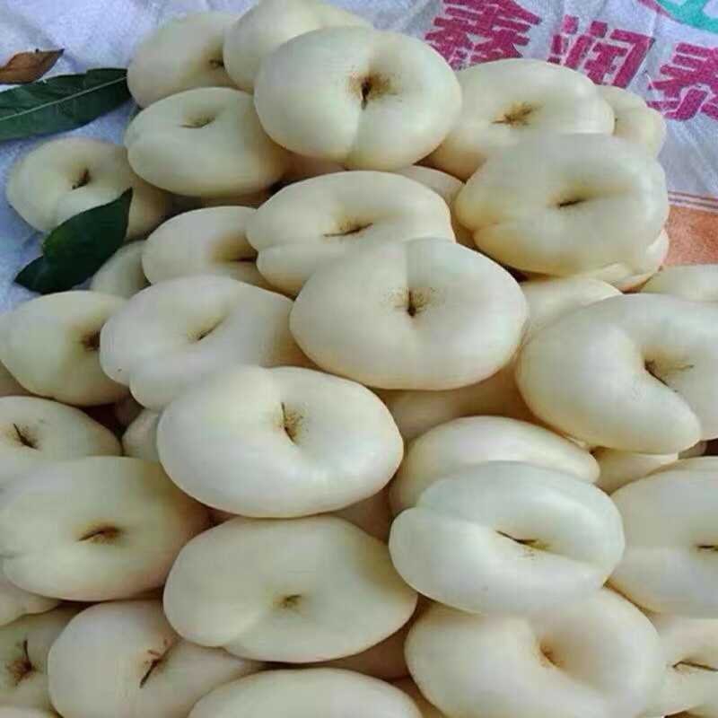 白蟠桃树苗嫁接奶油白蟠桃苗水果苗桃树苗黄桃苗南北方种植