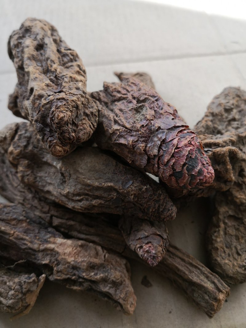 锁阳秋季完整锁阳阿拉善荒漠锁阳一斤包邮泡酒泡茶料