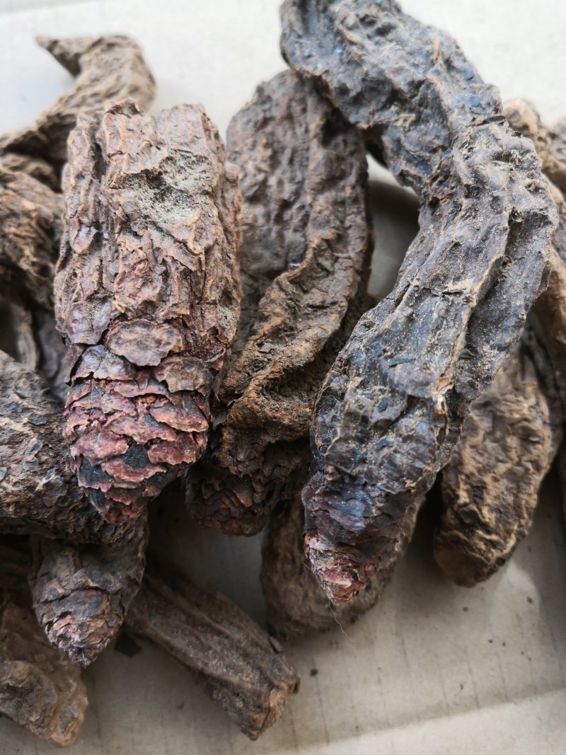 锁阳秋季完整锁阳阿拉善荒漠锁阳一斤包邮泡酒泡茶料