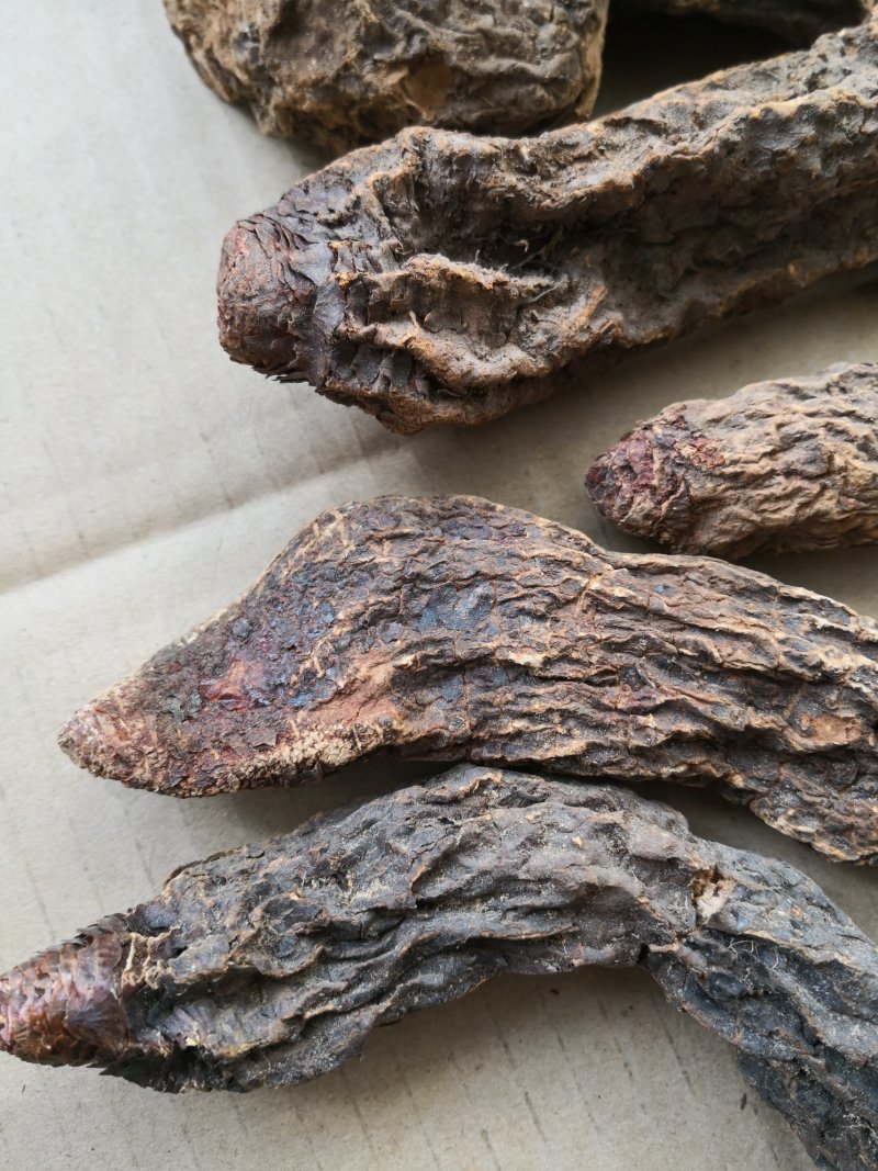 锁阳秋季完整锁阳阿拉善荒漠锁阳一斤包邮泡酒泡茶料