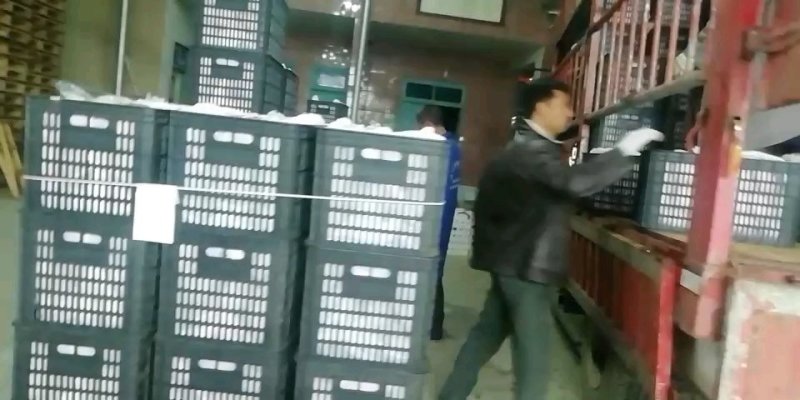 新疆阿克苏冰糖心苹果光果包邮甜苹果非丑苹果新疆