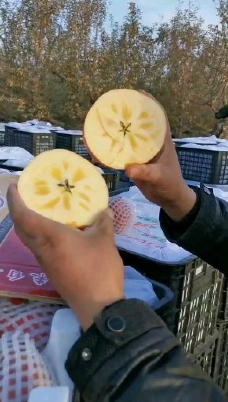 新疆阿克苏冰糖心苹果光果包邮甜苹果非丑苹果新疆