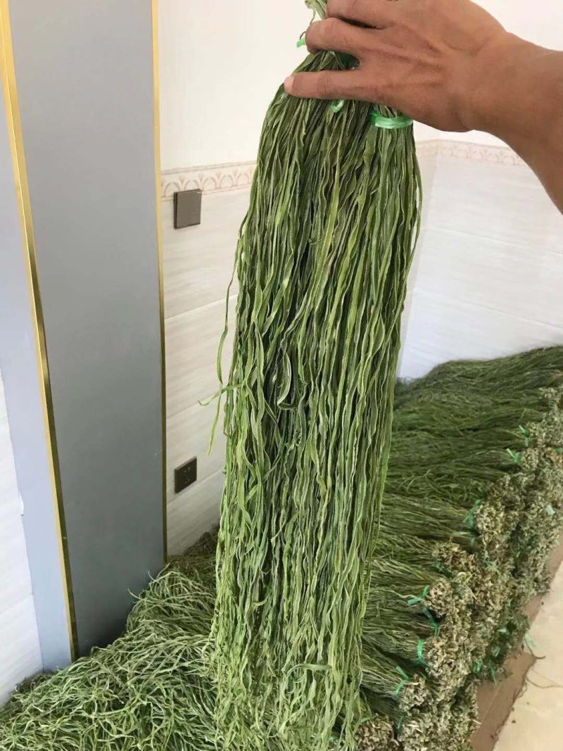 云南大理贡菜一级好货漂亮