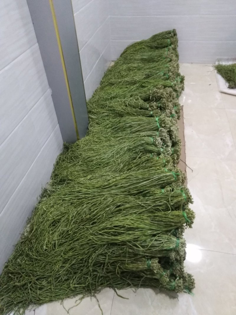 云南大理贡菜一级好货漂亮