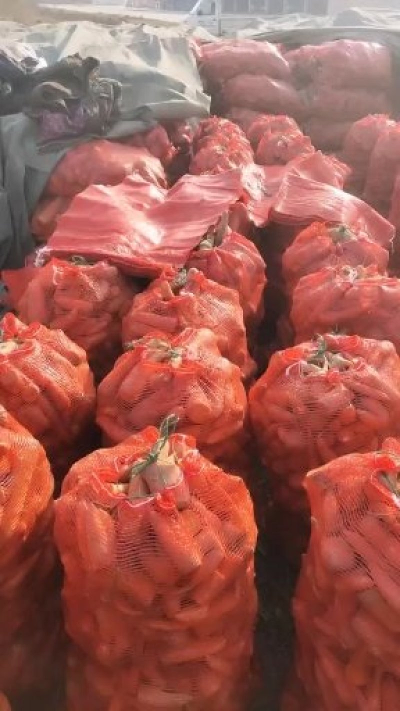 次品胡萝卜养殖用，水洗，土货，加工厂脱水厂酱菜厂全年供应