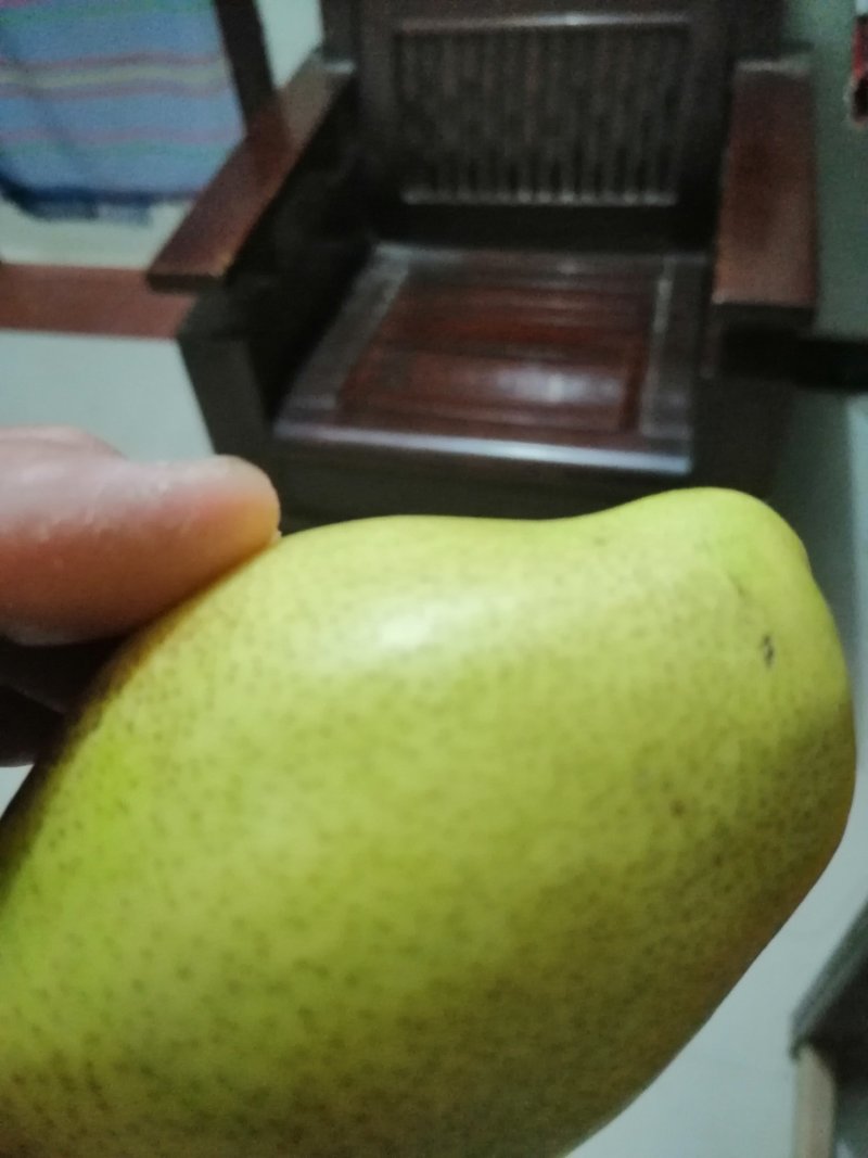 香梨，酥脆香甜，含口水甜香脆，吃一个还想再吃一个。
